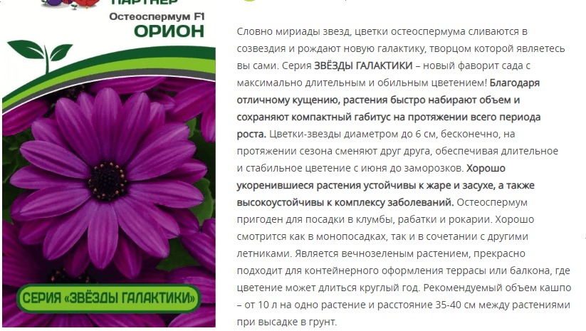 Остеоспермум F1 Эклона "Звезды Галактики" Орион (1 упаковка - 3 шт.)