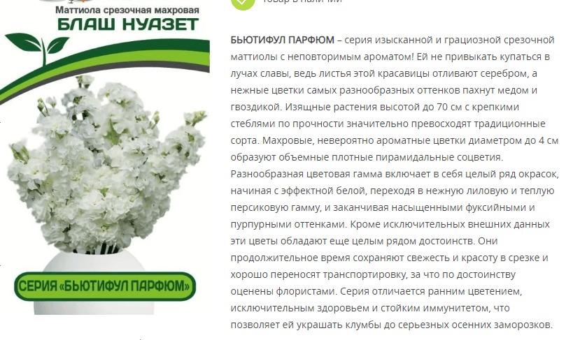 Маттиола срезочная махровая "Бьютифул Парфюм" Блаш Нуазет (1 упаковка - 10 шт.)