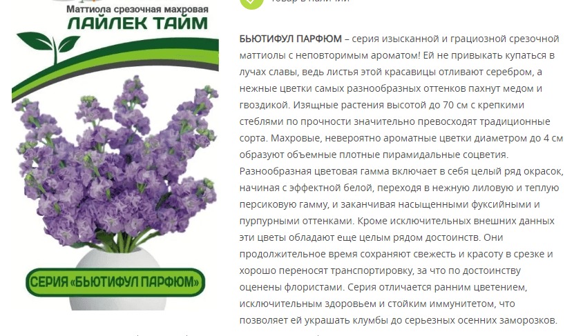 Маттиола срезочная махровая "Бьютифул Парфюм" Лайлек Тайм (1 упаковка - 10 шт.)