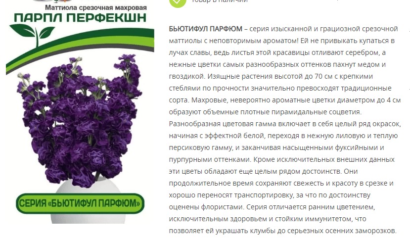 Маттиола срезочная махровая "Бьютифул Парфюм" Парпл Перфекшн (1 упаковка -10 шт.)
