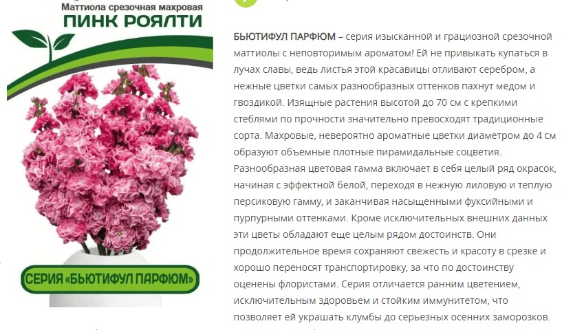 Маттиола срезочная махровая "Бьютифул Парфюм" Пинк Роялти (1 упаковка - 10 шт.)