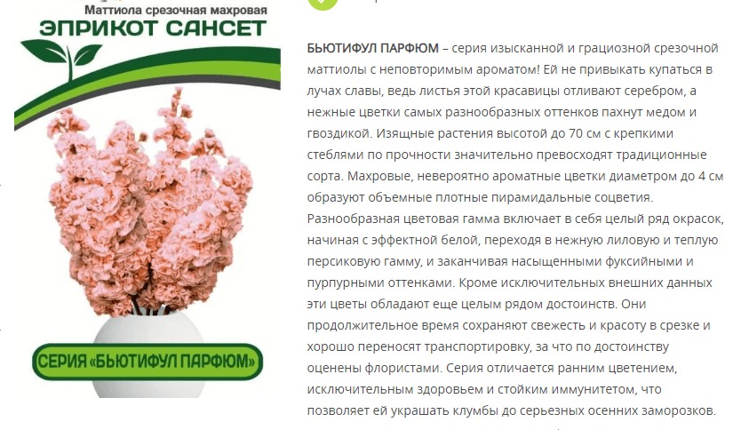 Маттиола срезочная махровая "Бьютифул Парфюм" Эприкот Сансет (1 упаковка - 10 шт.)