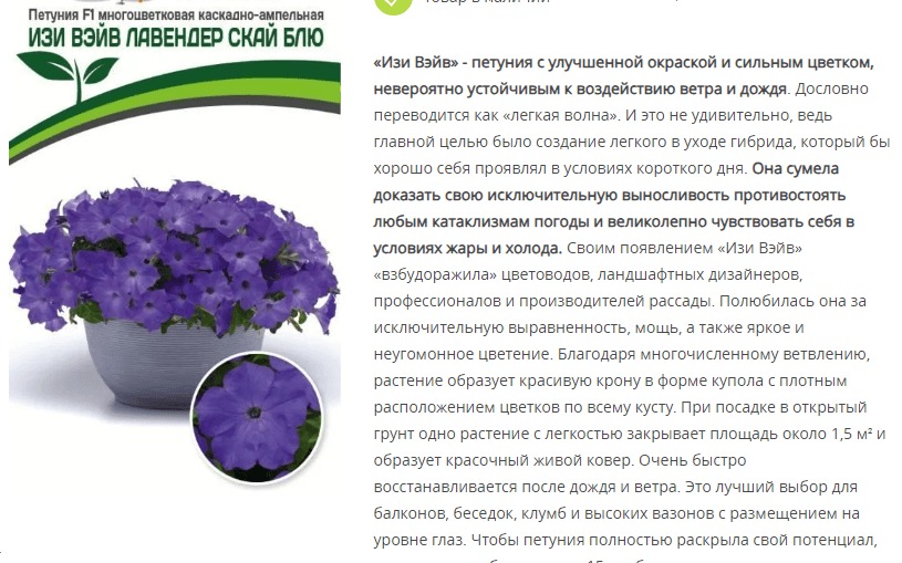 Петуния "Изи Вэйв" Лавендер Скай Блю F1 каскадно-ампельная (1 упаковка - 5 шт.)