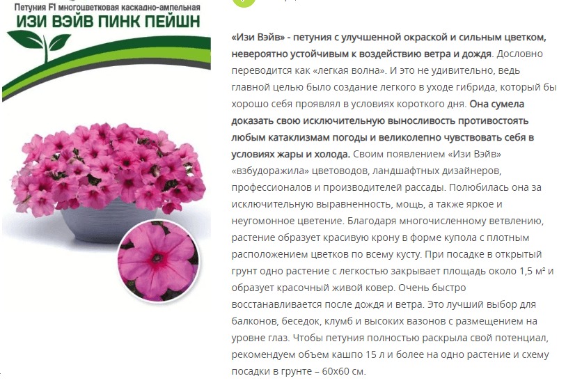 Петуния "Изи Вэйв" Пинк Пейшен F1 каскадно-ампельная (1 упаковка - 5 шт.)