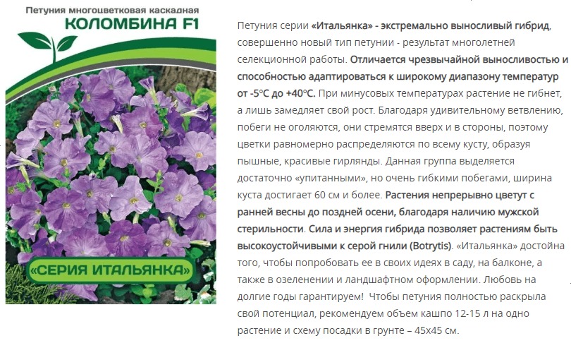Петуния "Итальянка" Коломбина F1 многоцветковая каскадная голубая (1 упаковка - 5 шт.)