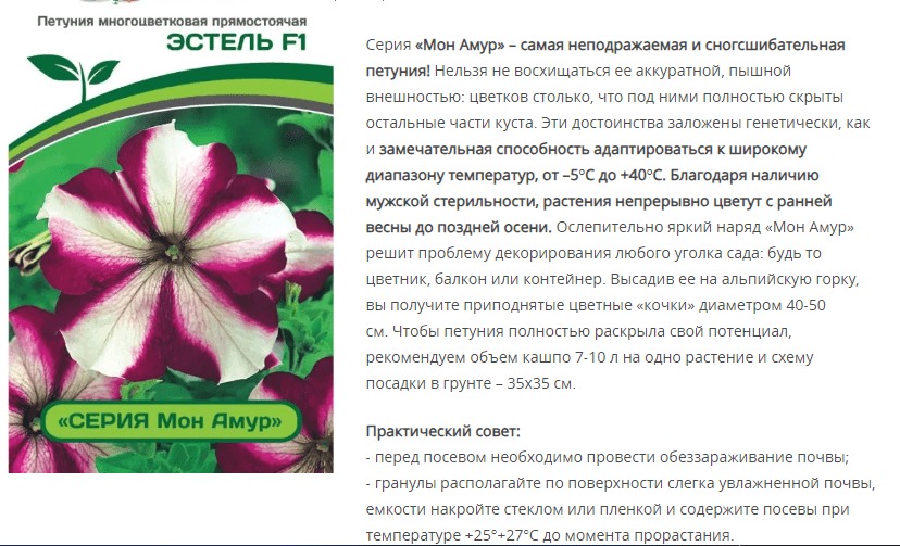 Петуния "Мон Амур" Эстель F1 прямостоячая звезда бело-пурпурная (1 упаковка - 5 шт.)
