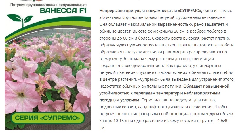 Петуния  "Супремо" Ванесса F1 полуампельная нежно-розовая (1 упаковка - 5 шт.)