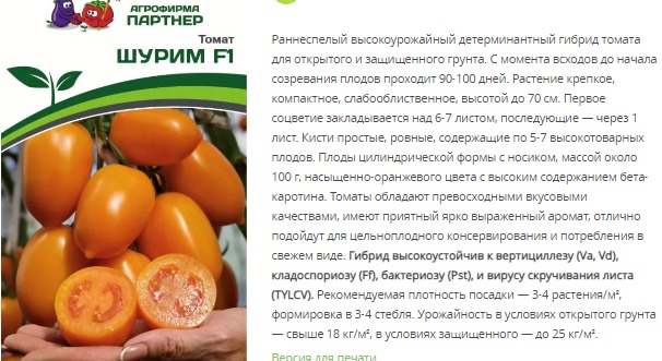 Томат Шурим F1 (1 упаковка - 10 шт)