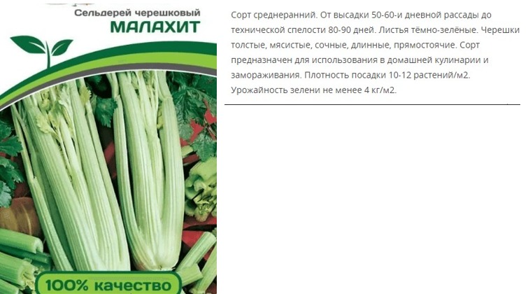 Сельдерей черешковый Малахит (1 упаковка - 0,3 гр)